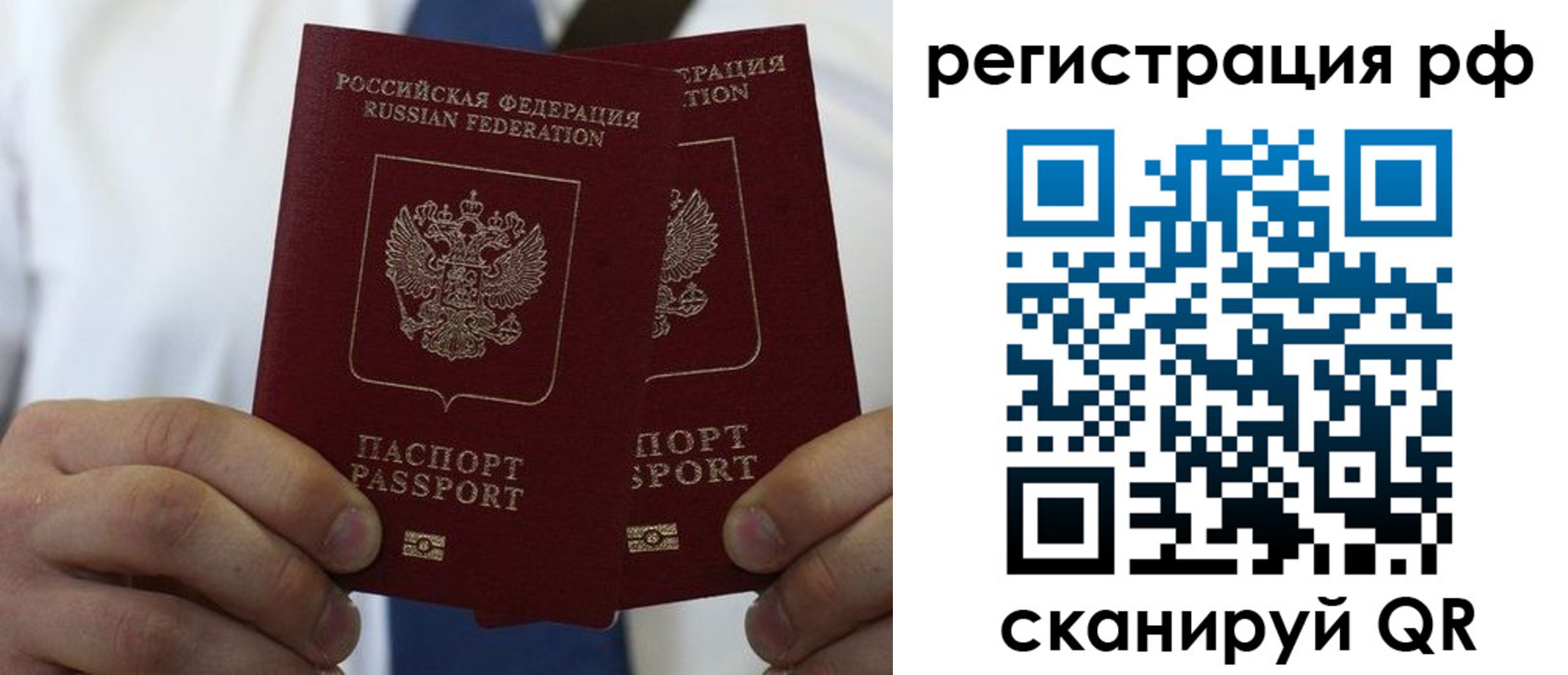 прописка для школы в Кольчугино